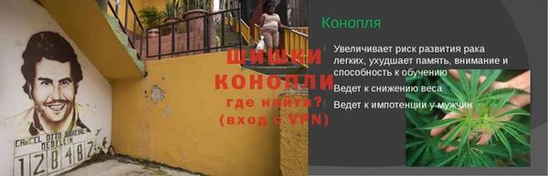 ГАЛЛЮЦИНОГЕННЫЕ ГРИБЫ Беломорск