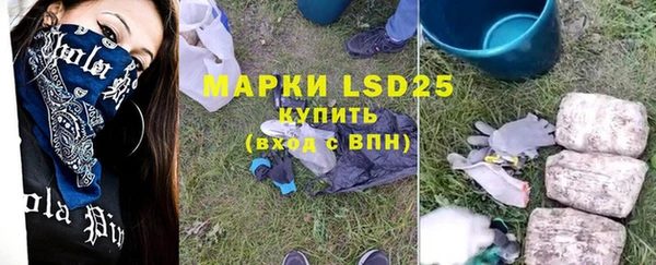 ГАЛЛЮЦИНОГЕННЫЕ ГРИБЫ Беломорск