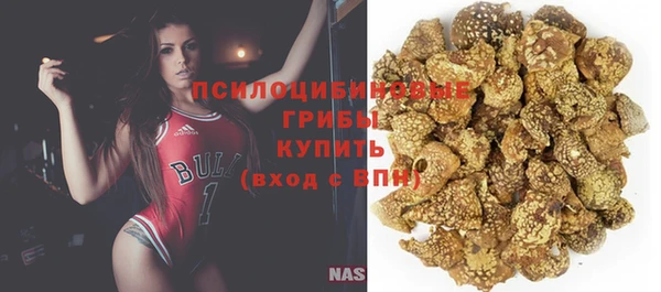 стафф Белокуриха