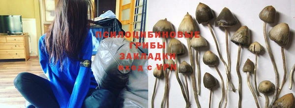 соль ск Белоозёрский