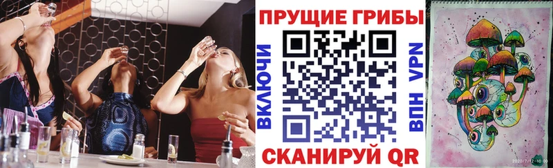 кракен сайт как найти наркотики Жирновск Псилоцибиновые грибы ЛСД